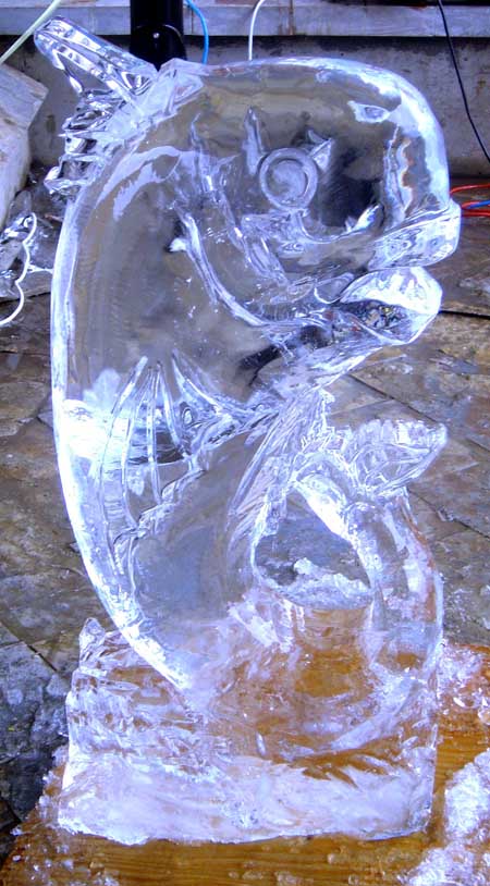 2 ICE program March 20-24 06 015